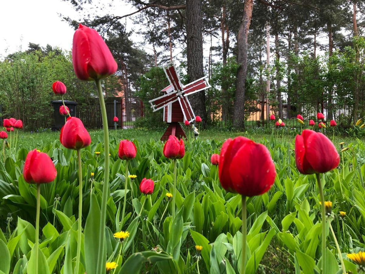 Lovely Nest In Nomme Tallinn Ngoại thất bức ảnh