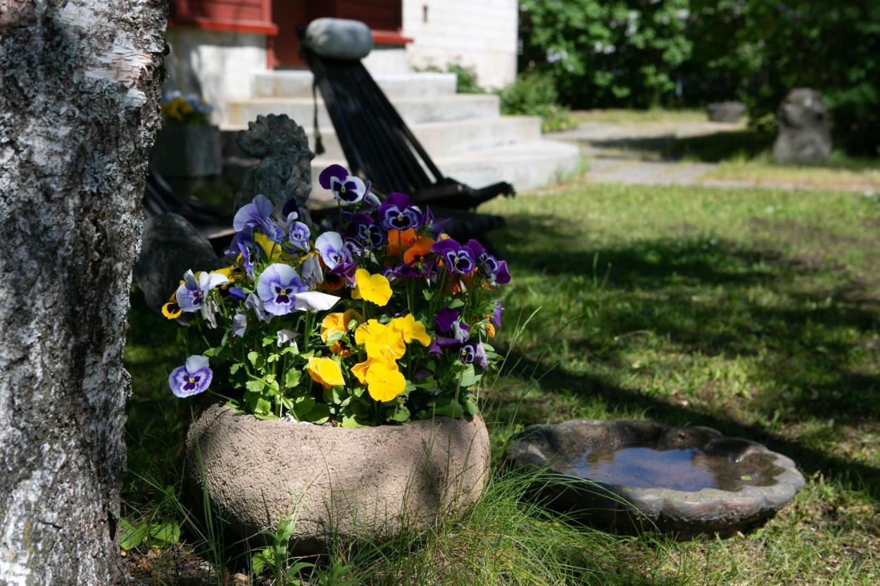 Lovely Nest In Nomme Tallinn Ngoại thất bức ảnh